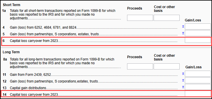 Image of "Capital loss carryover" fields on D2 screen